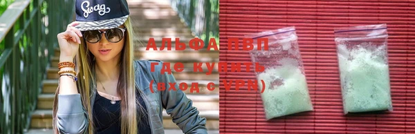 прущие грибы Абдулино