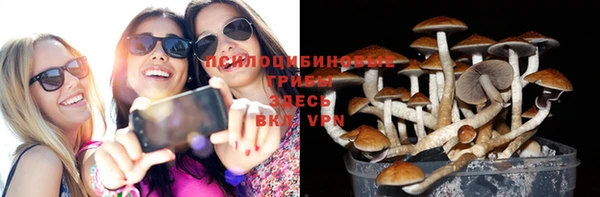 mdpv Алексин