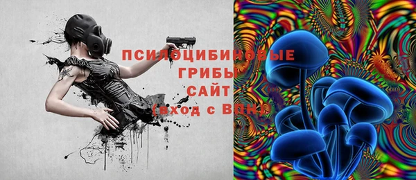 mdpv Алексин