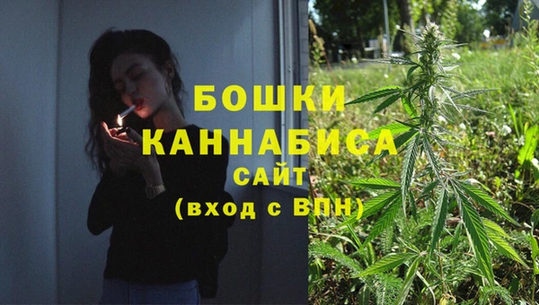 прущие грибы Абдулино