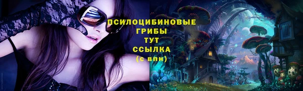 mdpv Алексин