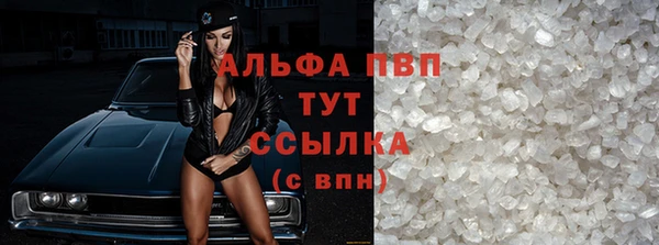 прущие грибы Абдулино