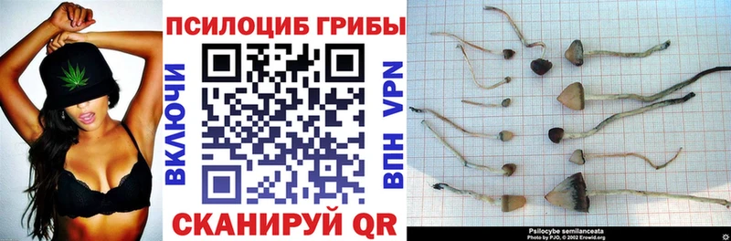 Псилоцибиновые грибы мухоморы  купить   Райчихинск 